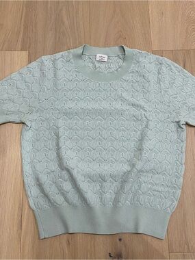 Aritzia Wilfred | Green Short Sleeve Knit Top 🩵